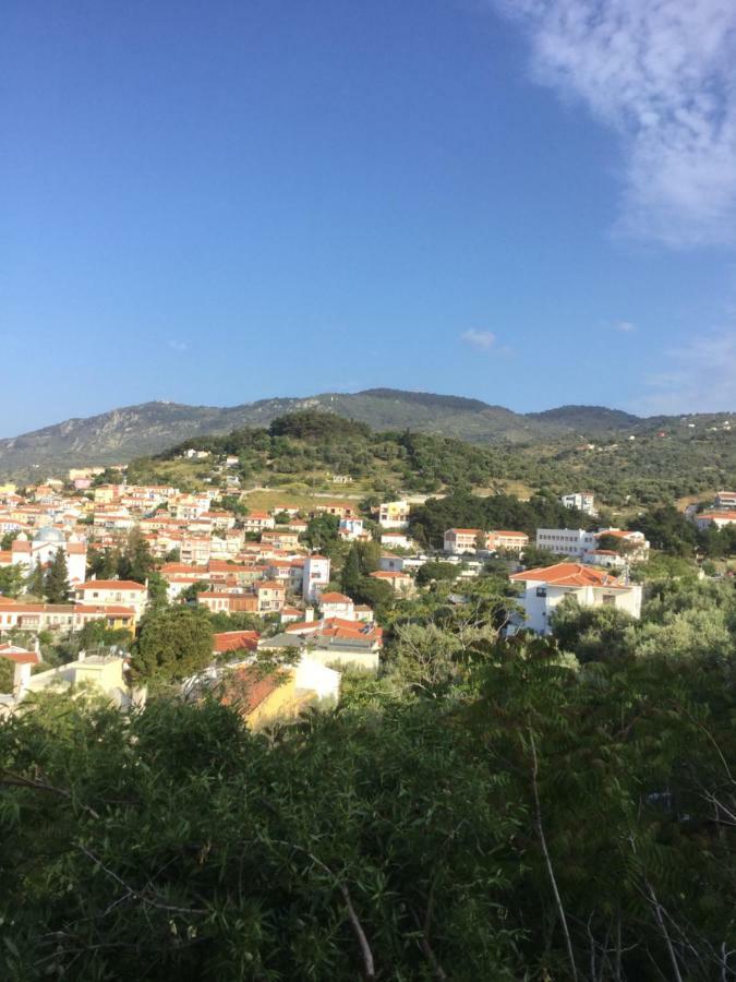Panorama Apartments Plomari ภายนอก รูปภาพ